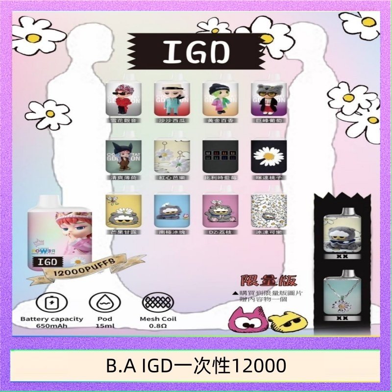 B.A IGD12000口 電子煙